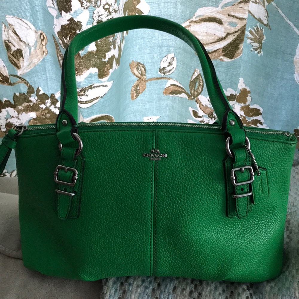 Coach carryall-small, green leather